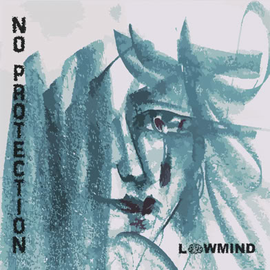 Lowmind Cover No Protection